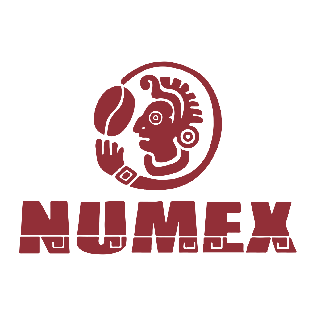 6675d95c44571Logo_Numex_OG